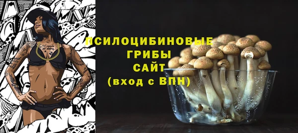 бутират Пролетарск